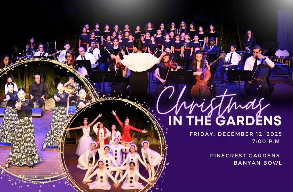 花园中的圣诞节